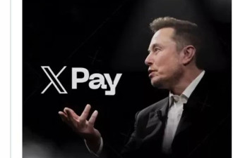 马斯克X Pay即将推出！是否支援加密货币受瞩目