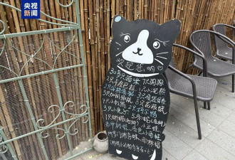 卡皮巴拉,羊驼入驻商场,写字楼究竟暗藏哪些隐患?