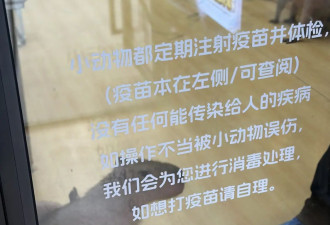 卡皮巴拉,羊驼入驻商场,写字楼究竟暗藏哪些隐患?