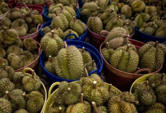 中国榴莲价格暴跌接近腰斩