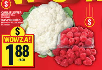 本周特价：玉米$0.33 樱桃$3.94 羊腿$4.98 猪排$1.98 菜油$5.88