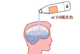 熬夜后头昏脑涨，脑子里发生了什么？