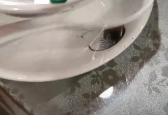 网友称未拆封一次性餐具有蟑螂乱爬,生产厂家回应