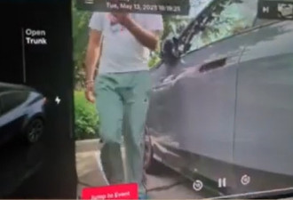 恶心至极！印度人大白天在路边撒尿，车载监控记录下一切