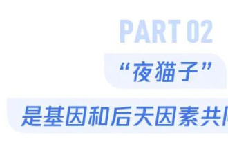 来，帮你看看自己是不是真的“夜猫子”