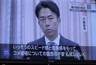 小泉进次郎受命打响“米价战”，赌上家族政治的一跃