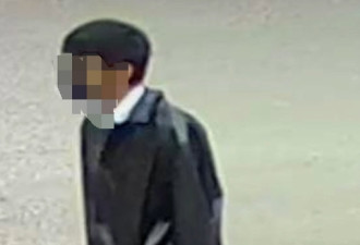 皮克林惨案：14岁男孩行凶前后监控画面曝光