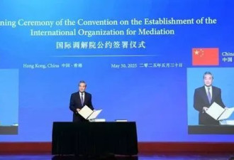 王毅致辞：中国历史上有个“六尺巷”的典故