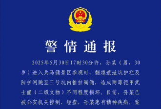 警方通报“男子跳进兵马俑俑坑”:其患有精神疾病