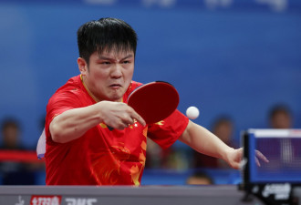 樊振东离开中国 网民忧技术外传