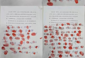 比亚迪，巴西工厂事件全纪录