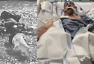 美国男子遭五只比特犬撕咬致死,狗主人父子被控过失杀人