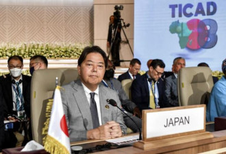 为减轻对华依赖 日本高官：要去非洲
