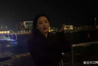 刘亦菲现身阿布扎比拍摄，粉色挑染造型惊艳亮相！