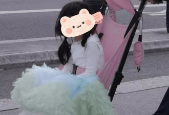 张若昀夫妇国外遛娃，爸爸推平价儿童车接地气