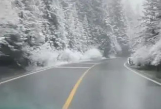 游客拍到九寨沟6月飘雪，导游：景色很美，但...