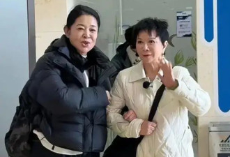 66岁倪萍近照曝光 大红唇尖下巴整容失败