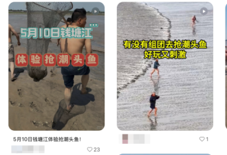 钱塘江抢潮头鱼，曾致多人死亡