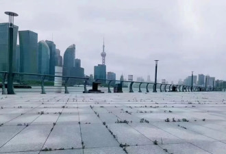 电价反常暴跌，外滩还要长草？