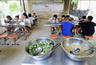 为何还要保护那些与孩子抢食的畜牲