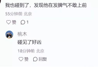 老少恋的"残酷现实"，在张纪中身上展现得淋漓尽致