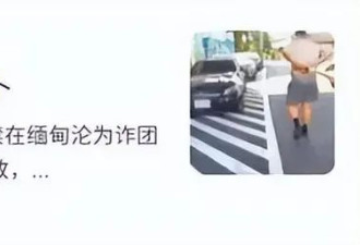 台湾旅行团被整团卖到缅甸，3人因年纪太大被“退货”