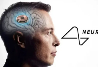 马斯克回归本职后，Neuralink官宣大事