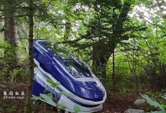 轰动全球的自杀舱 又杀一人? 运营也自杀了