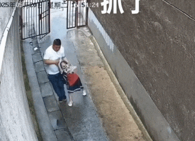 湖南6岁女童被陌生男子拖入僻巷:这个动作,救了她