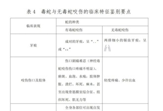 27岁女游客疑被蛇咬身亡，首诊医院未储备抗蛇毒血清
