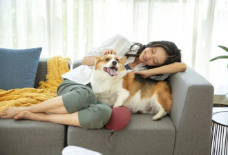 广州阿姨立遗嘱留爱犬十几万，宠物也能“继承”?