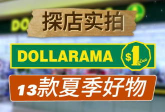 多伦多dollarama实拍！13款夏季必备好物