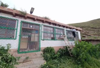藏区夏季熊出没：进垃圾场 到牧民家 上县城觅食