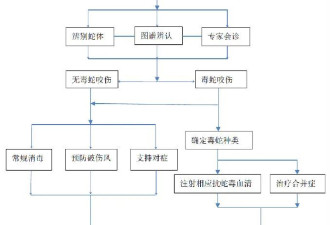 致命危机！毒蛇咬伤后如何‘争分夺秒’自救？