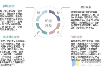 致命危机！毒蛇咬伤后如何‘争分夺秒’自救？