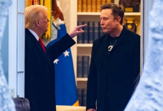 美媒：特朗普正对马斯克失去耐心 ....