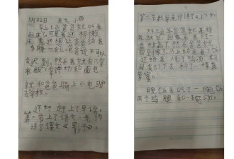 9岁围棋天才朱宏鑫坠亡前的最后一日...