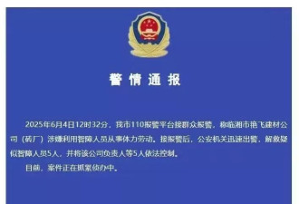 湖南一砖厂长期控制多名智障男子从事苦力？警方回应