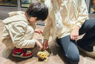 章子怡晒带娃出游照，醒醒越长越漂亮了，儿子像极了汪峰
