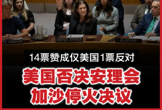 美国再次否决 联合国安理会未通过加沙停火草案