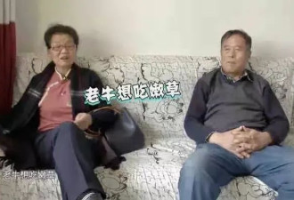 老年人相亲局：有钱，丧偶，高欲望