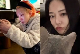 权志龙方否认与李珠妍恋爱传闻 两人曾在济州岛共度4天3夜