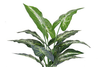 7.1 折，JC Nateva 16“小型假货植物人造植物