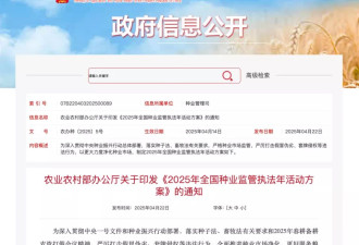 内蒙古乌兰察布，马铃薯毒种子害苦了农民