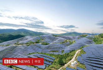 中国碳排放罕见下降，全球最大排放国已经转型了吗？