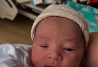 恭喜！香港知名富家千金宣布剖腹生下混血男婴