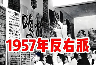 张兰：父母离异后各自再婚，她撮合父母重逢...