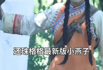 新版小燕子路透曝光！审美降级苦相又土气，还不如老版丫鬟亮眼