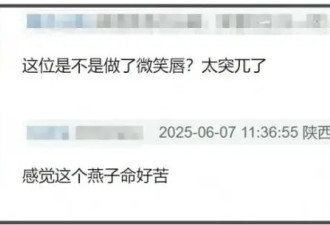 新版小燕子路透曝光！审美降级苦相又土气，还不如老版丫鬟亮眼