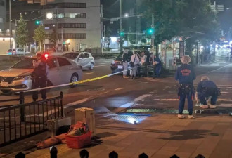 中国游客日本闹市街头被砍 同团约20人目睹惨案